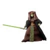 Hasbro Star Wars Vintage Collection Clone Wars Luminara Unduli VC215 3.75" Walmart Exclusive Action Figure -Hasbro Sale Shop 5010993980277a